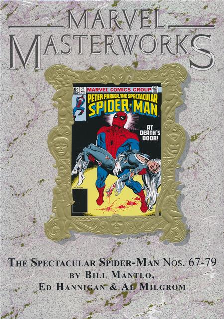 Marvel Masterworks: The Spectacular Spider-Man Vol. 6 cover