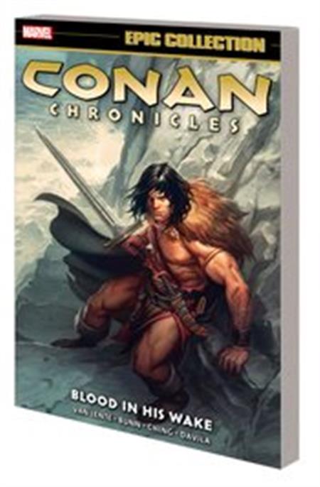 Conan Chronicles Epic Collection: Blood in His Wake cover
