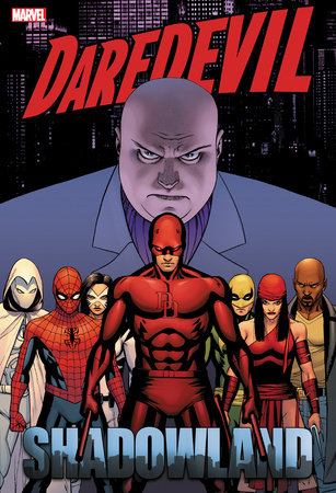 Daredevil: Shadowland Omnibus Cassaday Cover [New Printing] cover
