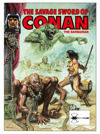 The Savage Sword Of Conan: The Original Comics Omnibus DM Edition Vol.13 cover