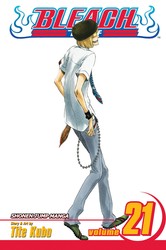 Bleach, Vol. 21 cover