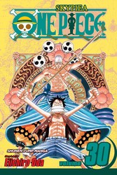One Piece, Vol. 30 cover