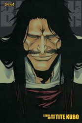 Bleach (3-in-1 Edition), Vol. 19 cover
